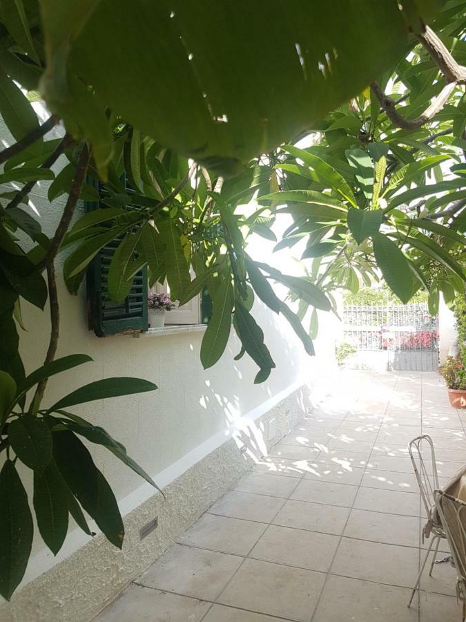 Green House Beach Hotel Мондело Екстериор снимка